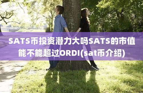 SATS币投资潜力大吗SATS的市值能不能超过ORDI(sat币介绍)