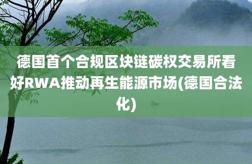 德国首个合规区块链碳权交易所看好RWA推动再生能源市场(德国合法化)