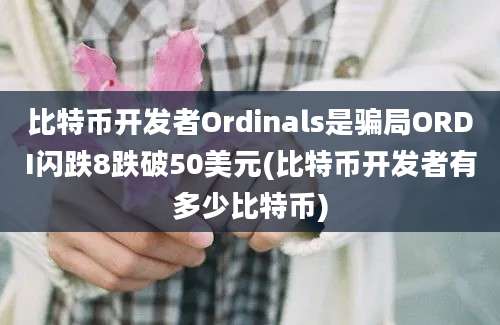 比特币开发者Ordinals是骗局ORDI闪跌8跌破50美元(比特币开发者有多少比特币)