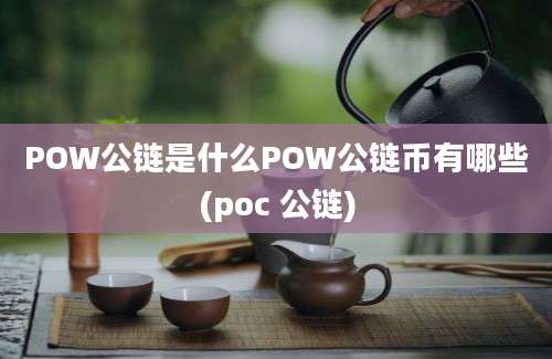 POW公链是什么POW公链币有哪些(poc 公链)