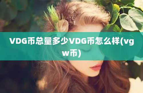 VDG币总量多少VDG币怎么样(vgw币)