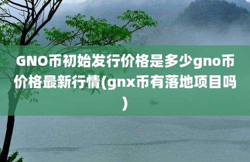 GNO币初始发行价格是多少gno币价格最新行情(gnx币有落地项目吗)