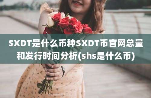 SXDT是什么币种SXDT币官网总量和发行时间分析(shs是什么币)