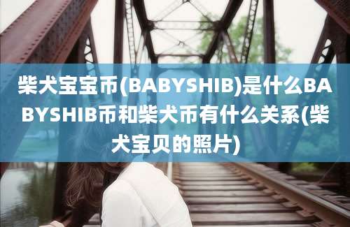 柴犬宝宝币(BABYSHIB)是什么BABYSHIB币和柴犬币有什么关系(柴犬宝贝的照片)