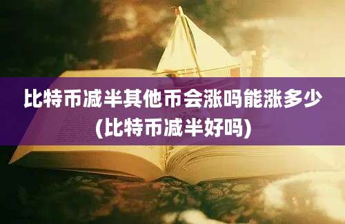 比特币减半其他币会涨吗能涨多少(比特币减半好吗)