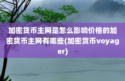 加密货币主网是怎么影响价格的加密货币主网有哪些(加密货币voyager)