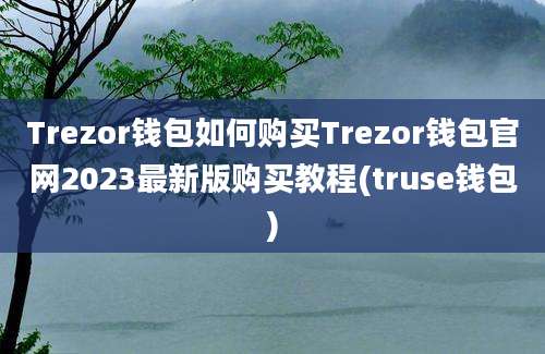 Trezor钱包如何购买Trezor钱包官网2023最新版购买教程(truse钱包)