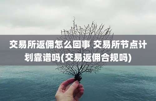 交易所返佣怎么回事 交易所节点计划靠谱吗(交易返佣合规吗)