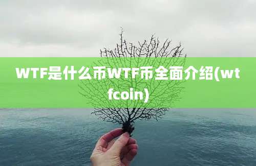 WTF是什么币WTF币全面介绍(wtfcoin)