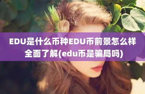 EDU是什么币种EDU币前景怎么样 全面了解(edu币是骗局吗)