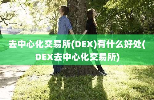 去中心化交易所(DEX)有什么好处(DEX去中心化交易所)