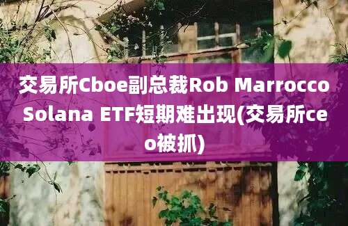 交易所Cboe副总裁Rob MarroccoSolana ETF短期难出现(交易所ceo被抓)