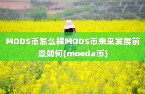 MODS币怎么样MODS币未来发展前景如何(moeda币)