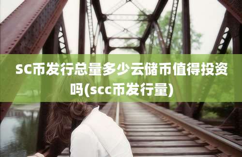 SC币发行总量多少云储币值得投资吗(scc币发行量)