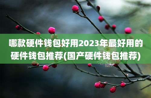 哪款硬件钱包好用2023年最好用的硬件钱包推荐(国产硬件钱包推荐)