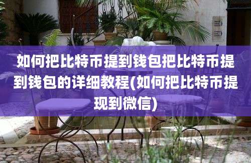 如何把比特币提到钱包把比特币提到钱包的详细教程(如何把比特币提现到微信)