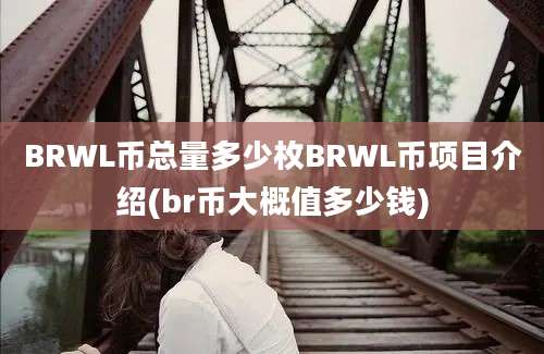 BRWL币总量多少枚BRWL币项目介绍(br币大概值多少钱)