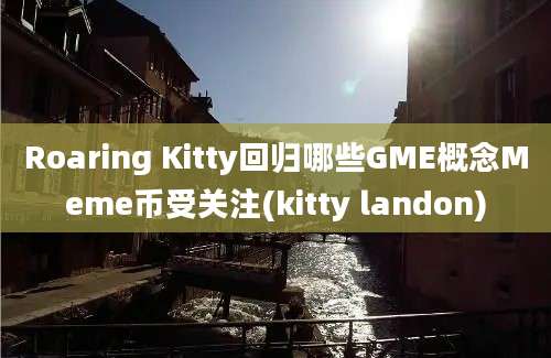 Roaring Kitty回归哪些GME概念Meme币受关注(kitty landon)