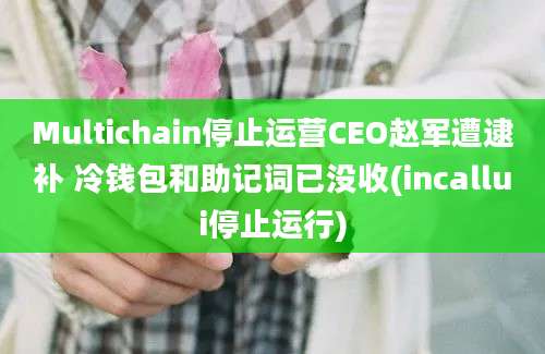 Multichain停止运营CEO赵军遭逮补 冷钱包和助记词已没收(incallui停止运行)