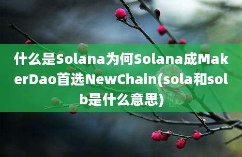 什么是Solana为何Solana成MakerDao首选NewChain(sola和solb是什么意思)