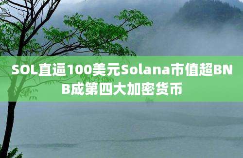 SOL直逼100美元Solana市值超BNB成第四大加密货币