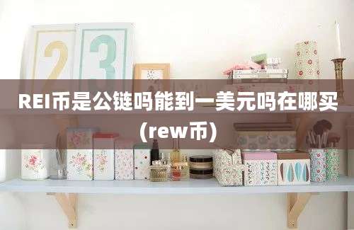 REI币是公链吗能到一美元吗在哪买(rew币)