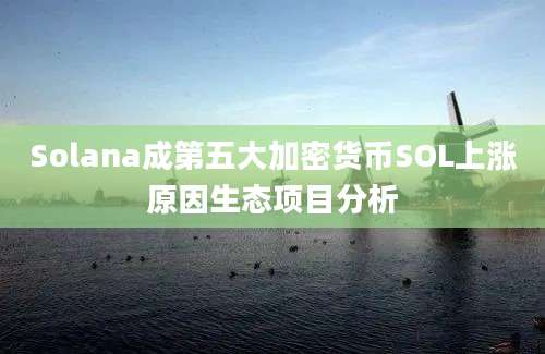 Solana成第五大加密货币SOL上涨原因生态项目分析