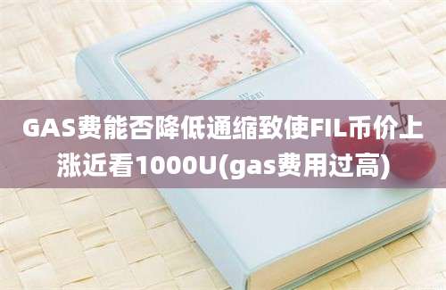 GAS费能否降低通缩致使FIL币价上涨近看1000U(gas费用过高)