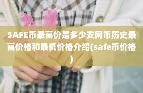 SAFE币最高价是多少安网币历史最高价格和最低价格介绍(safe币价格)