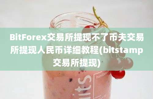 BitForex交易所提现不了币夫交易所提现人民币详细教程(bitstamp交易所提现)