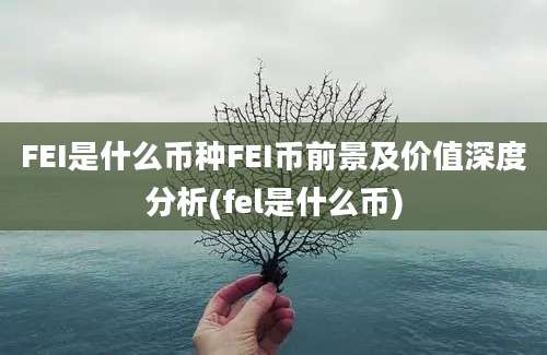 FEI是什么币种FEI币前景及价值深度分析(fel是什么币)