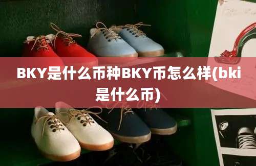 BKY是什么币种BKY币怎么样(bki是什么币)