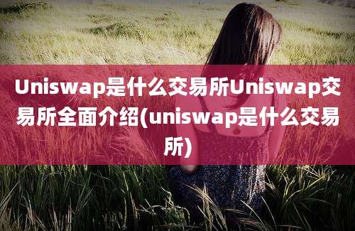 Uniswap是什么交易所Uniswap交易所全面介绍(uniswap是什么交易所)