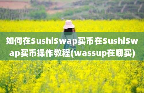 如何在SushiSwap买币在SushiSwap买币操作教程(wassup在哪买)