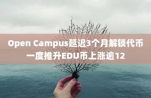 Open Campus延迟3个月解锁代币一度推升EDU币上涨逾12