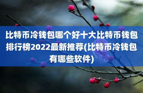 比特币冷钱包哪个好十大比特币钱包排行榜2022最新推荐(比特币冷钱包有哪些软件)