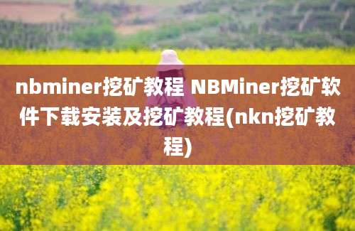 nbminer挖矿教程 NBMiner挖矿软件下载安装及挖矿教程(nkn挖矿教程)