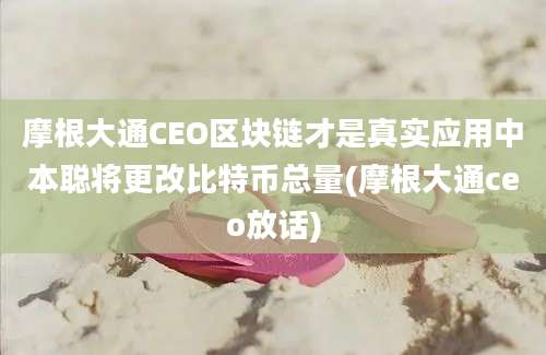 摩根大通CEO区块链才是真实应用中本聪将更改比特币总量(摩根大通ceo放话)