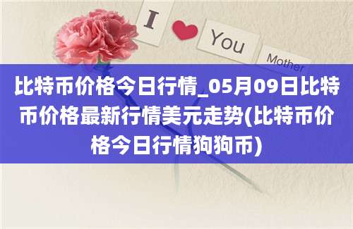 比特币价格今日行情_05月09日比特币价格最新行情美元走势(比特币价格今日行情狗狗币)