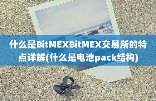 什么是BitMEXBitMEX交易所的特点详解(什么是电池pack结构)