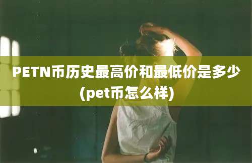 PETN币历史最高价和最低价是多少(pet币怎么样)