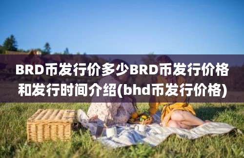 BRD币发行价多少BRD币发行价格和发行时间介绍(bhd币发行价格)