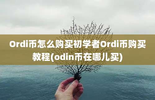 Ordi币怎么购买初学者Ordi币购买教程(odin币在哪儿买)