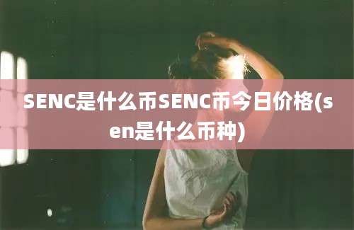 SENC是什么币SENC币今日价格(sen是什么币种)