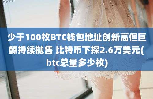 少于100枚BTC钱包地址创新高但巨鲸持续抛售 比特币下探2.6万美元(btc总量多少枚)