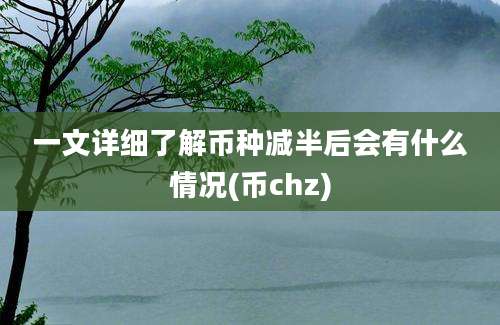 一文详细了解币种减半后会有什么情况(币chz)