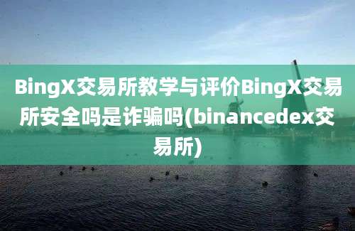 BingX交易所教学与评价BingX交易所安全吗是诈骗吗(binancedex交易所)