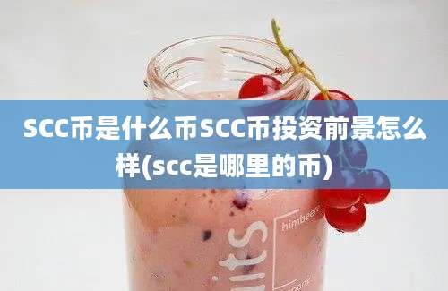 SCC币是什么币SCC币投资前景怎么样(scc是哪里的币)