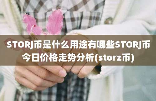 STORJ币是什么用途有哪些STORJ币今日价格走势分析(storz币)