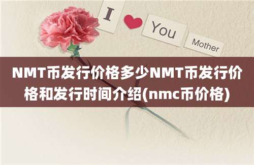 NMT币发行价格多少NMT币发行价格和发行时间介绍(nmc币价格)